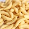 Maggot Grub Soft Fishing Lures — 50pc Scented & Glow-in-Dark