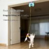 interactive Cat Toy