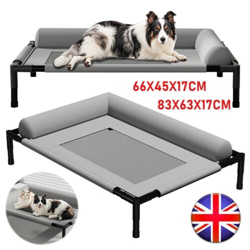 raised dog bed